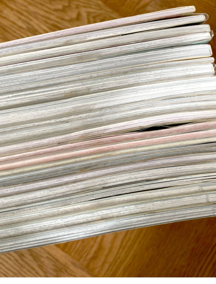  Gundam SEED Destiny журнал узкого круга литераторов *askila комплект . гнездо ...