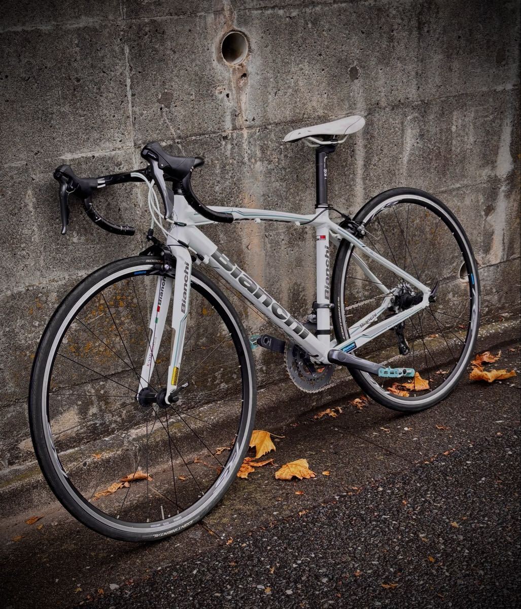 ビアンキ　ビアニローネ7_画像3