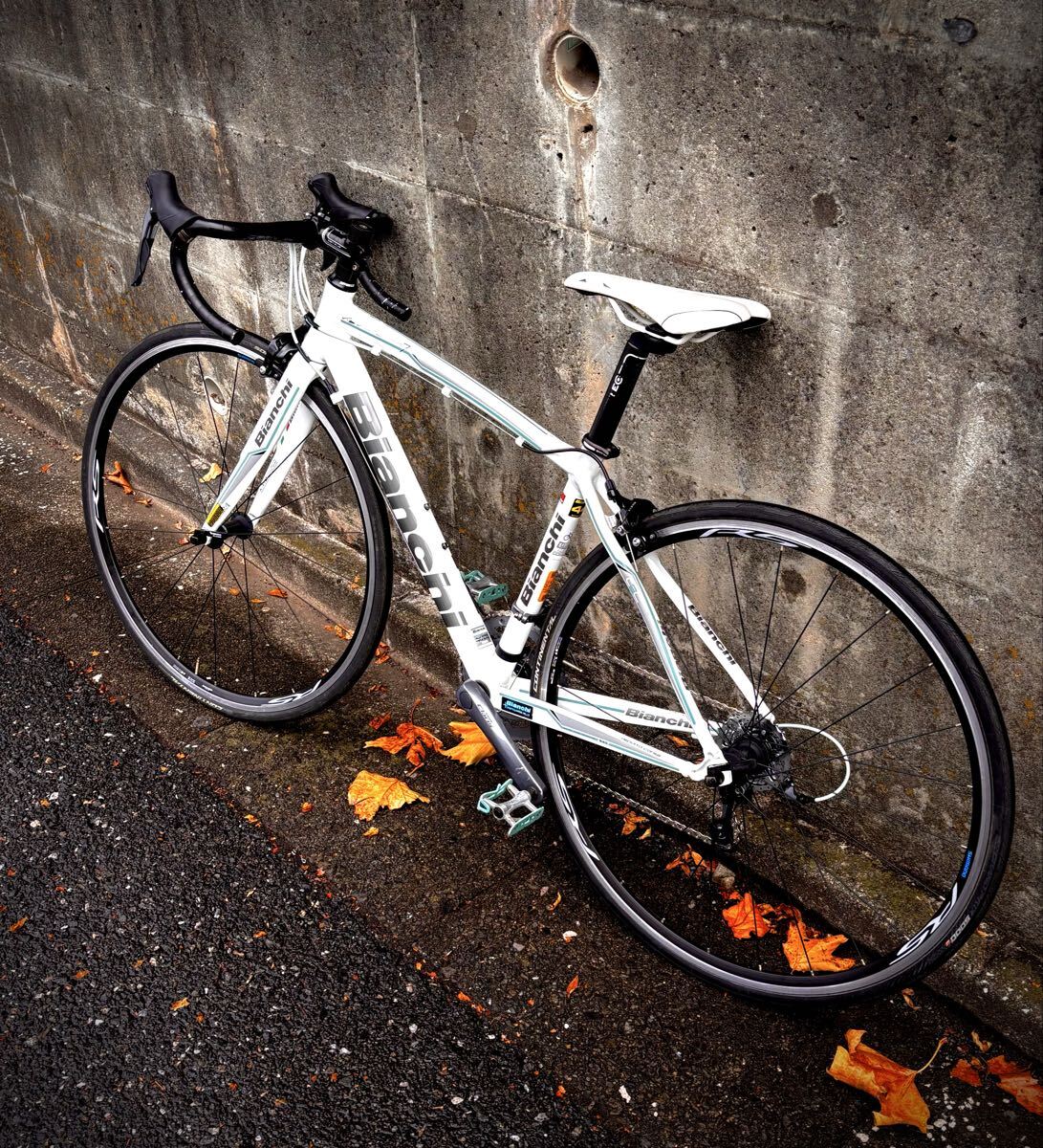 ビアンキ　ビアニローネ7_画像2