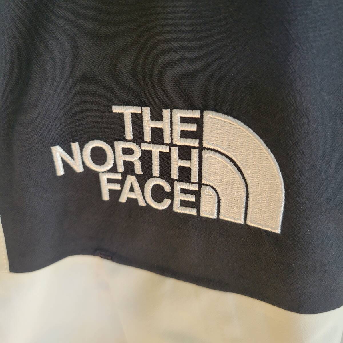 THE NORTH FACE ノースフェイス WEB超限定完売品　マウンテンジャケット　ゴアテックス　NP62101R ティングレーx黒　M　美中古　送料無料_画像4