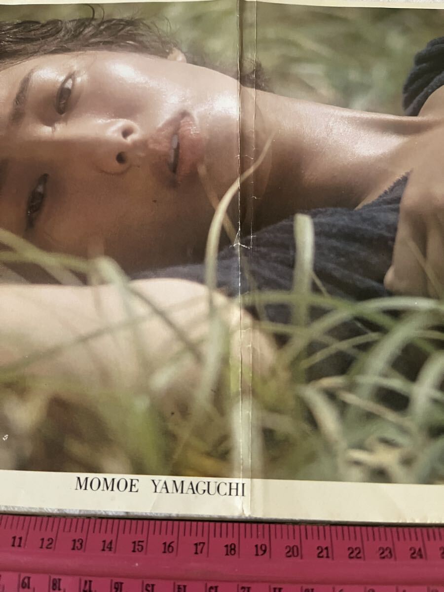 ★ 岡田奈々 山口百恵 両面 ピンナップ カレンダー 切り離し 昭和 アイドル レトロ 当時物 水着_画像4