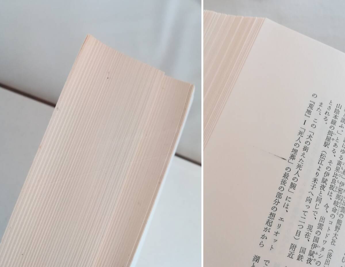 Ｆ　入澤康夫〈詩〉集成　限定1000部　昭和54年　青土社　1951～1978_画像7