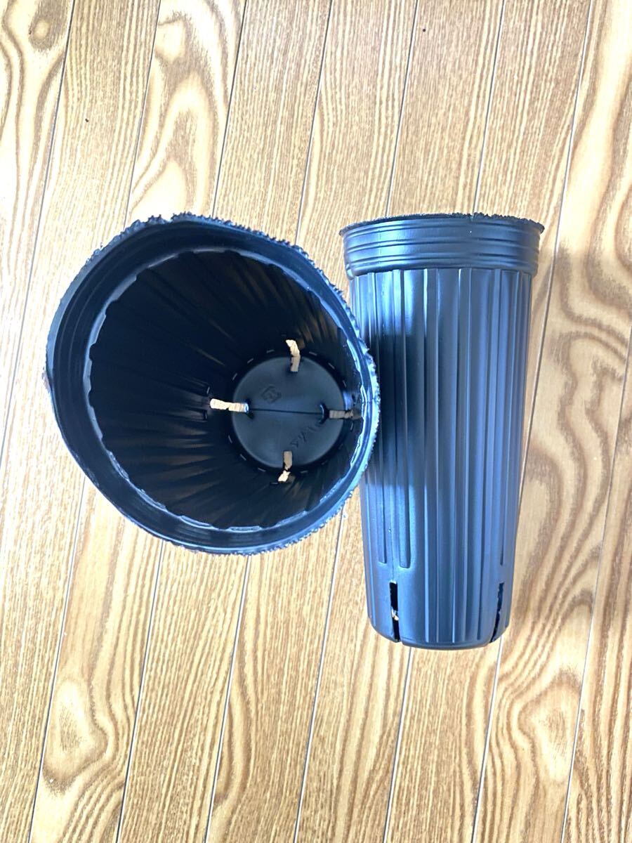 ロングポット9cmx深さ20cm、4スリット、10個_画像1