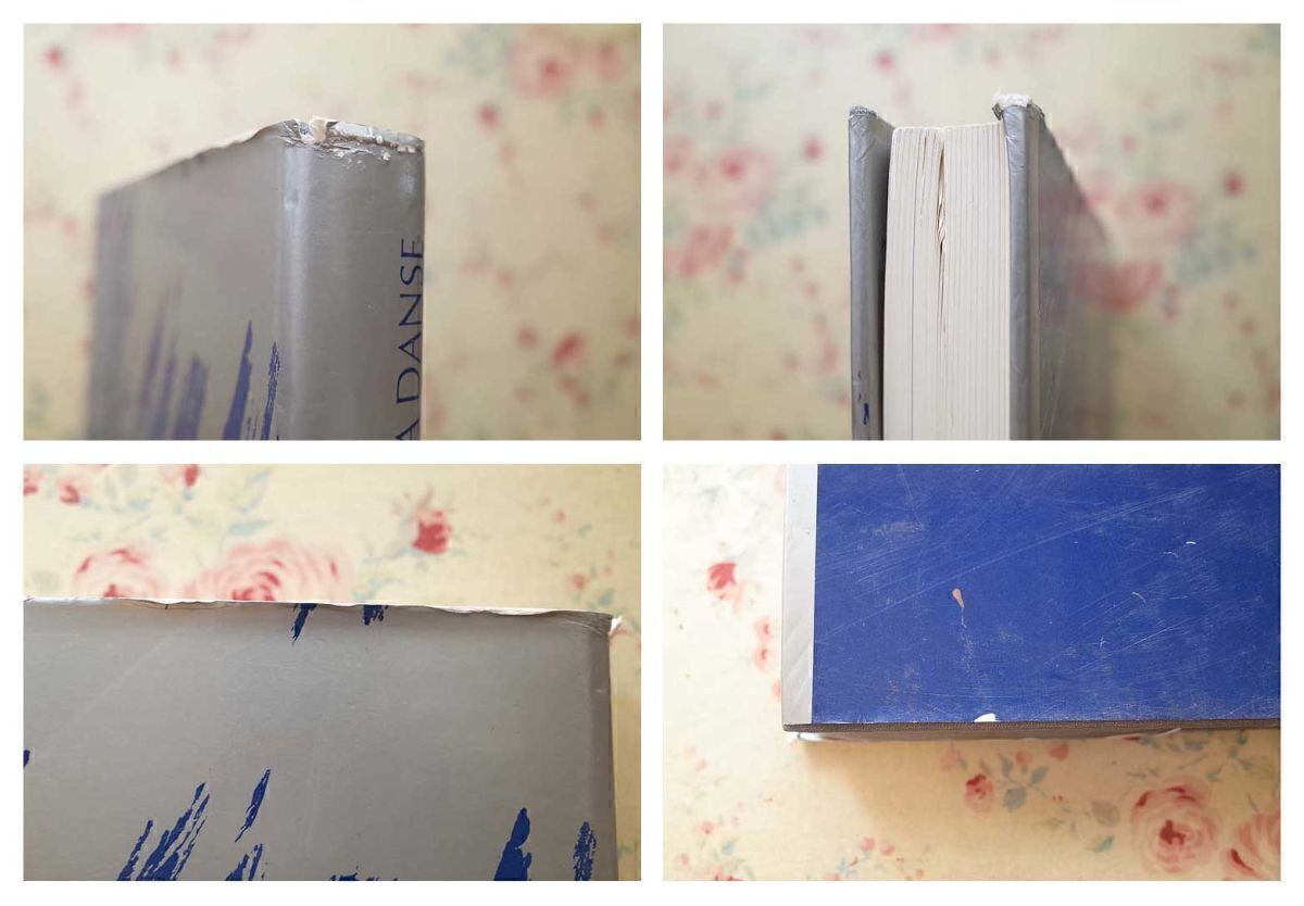 47513/ダンス・舞踏の芸術 L'Art de la Danse Ballets Danseurs et Choregraphes バレエ ダンサー 振り付け師 ピナ・バウシュ 大野一雄 他_画像5