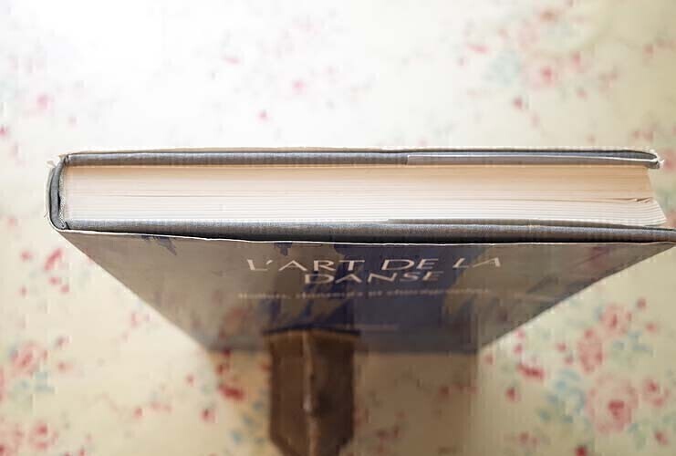 47513/ダンス・舞踏の芸術 L'Art de la Danse Ballets Danseurs et Choregraphes バレエ ダンサー 振り付け師 ピナ・バウシュ 大野一雄 他_画像4