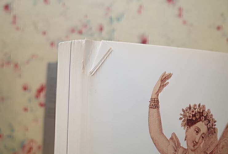 47513/ダンス・舞踏の芸術 L'Art de la Danse Ballets Danseurs et Choregraphes バレエ ダンサー 振り付け師 ピナ・バウシュ 大野一雄 他_画像6