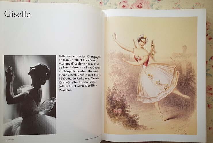 47513/ダンス・舞踏の芸術 L'Art de la Danse Ballets Danseurs et Choregraphes バレエ ダンサー 振り付け師 ピナ・バウシュ 大野一雄 他_画像9