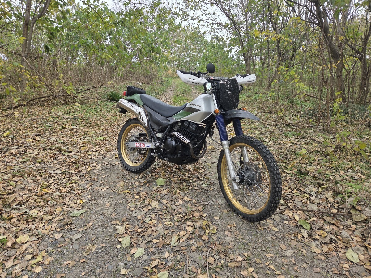 スーパーシェルパ/SUPER SHERPA （KL250G）