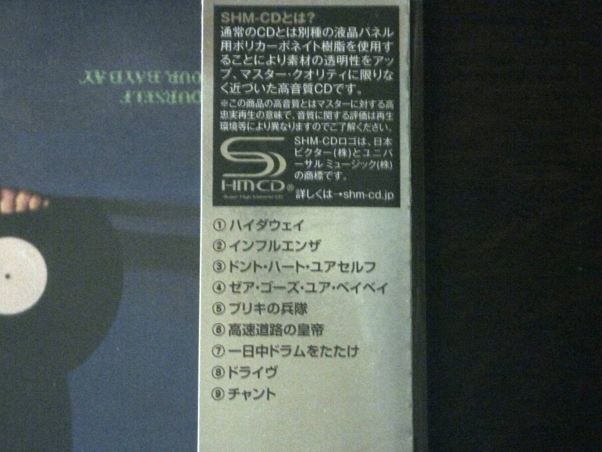 【限定紙ジャケSHM-CD】トッド・ラングレン／トッドのモダン・ポップ黄金狂時代♪ジャケ難有未開封 Todd Rundgren_画像3