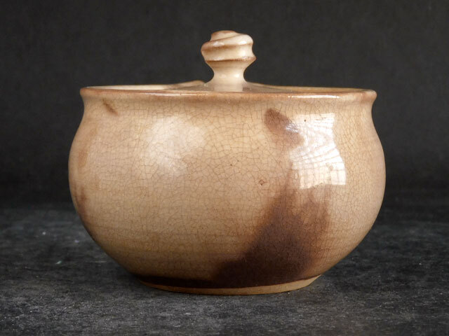  сосна .. Watanabe замок гора Hagi . заварной чайник . бутылка зеленый чай 