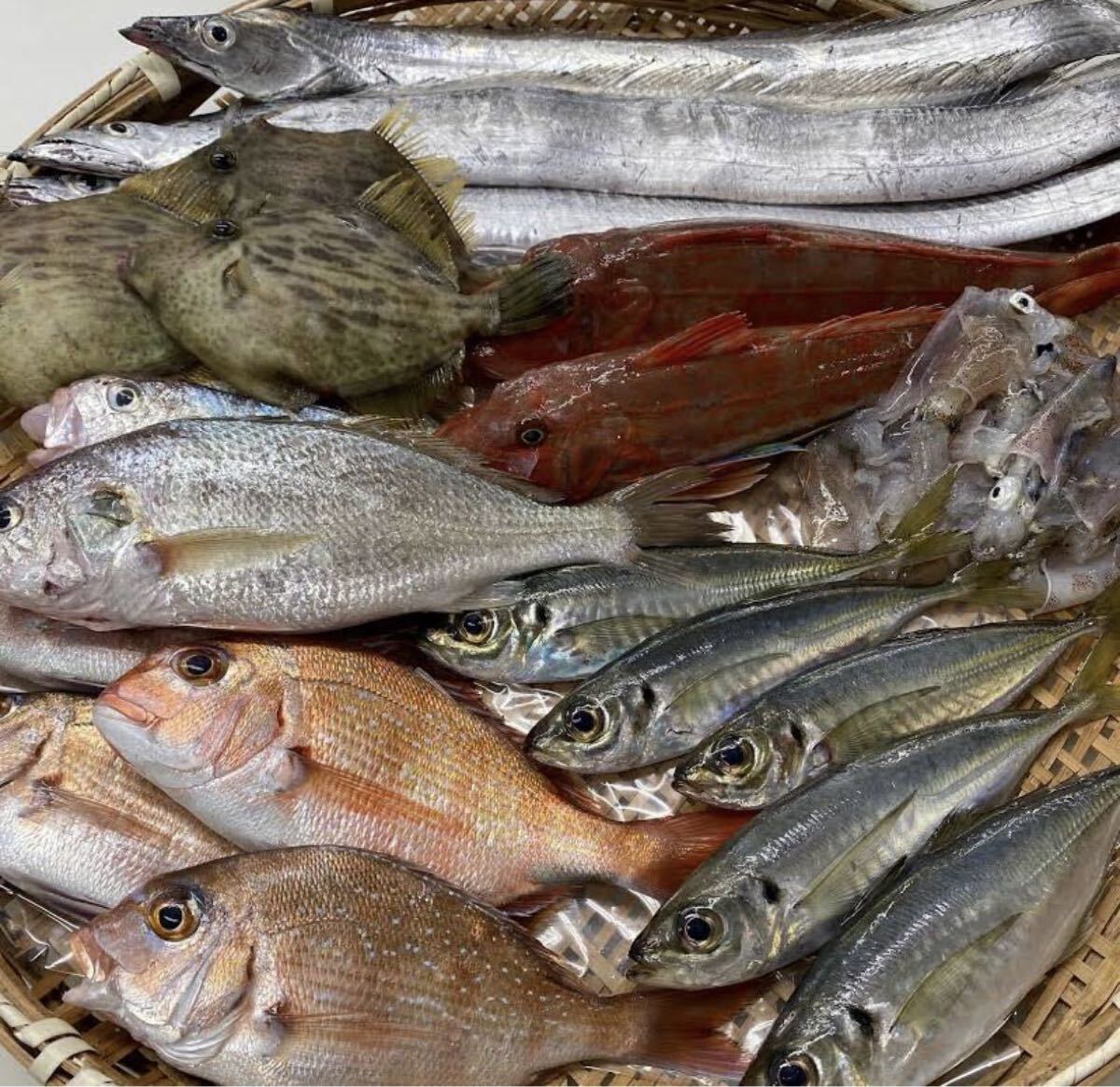 4キロ 鮮魚&干物お試しセット 40種類以上 送料一律 豊後水道直送 冷凍発送 他鮮魚、干物アリ！同封発送可能 お得_画像1