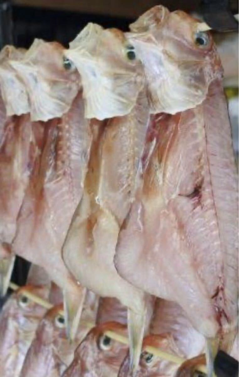 甘鯛　干物　4匹売り　（追加購入可能）送料一律 愛媛県豊後水道産漁師直送 他鮮魚アリ！ 冷凍発送　脂、旨味たっぷり！_画像1