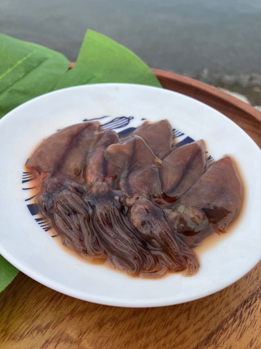 ホタルイカ沖漬け100gパック　（追加購入可能）送料一律 愛媛県豊後水道産漁師直送 他鮮魚アリ！ 冷凍発送　脂、旨味たっぷり_画像2