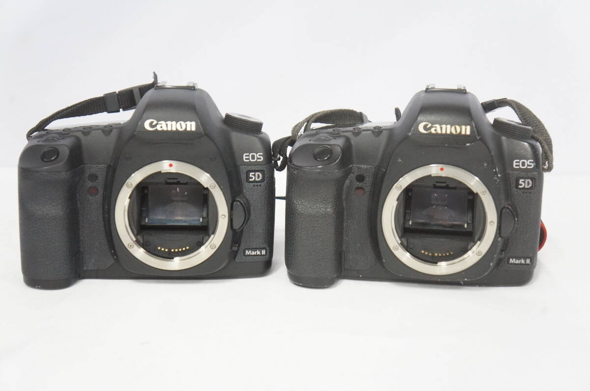 ① Canon Canon EOS 5D Mark II корпус цифровой однообъективный зеркальный камера 2 позиций комплект 1111148011