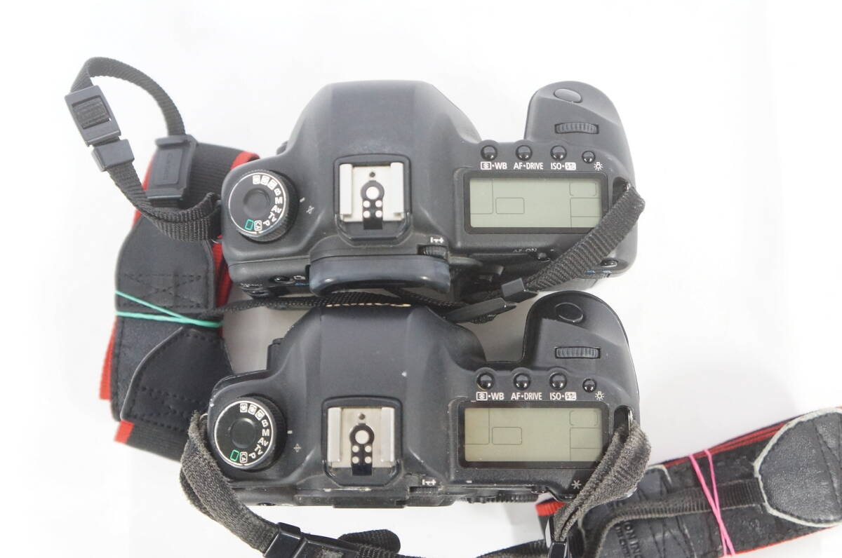 ① Canon Canon EOS 5D Mark II корпус цифровой однообъективный зеркальный камера 2 позиций комплект 1111148011