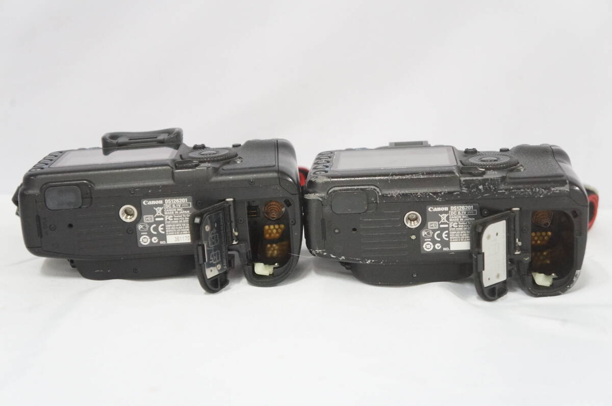 ① Canon Canon EOS 5D Mark II корпус цифровой однообъективный зеркальный камера 2 позиций комплект 1111148011