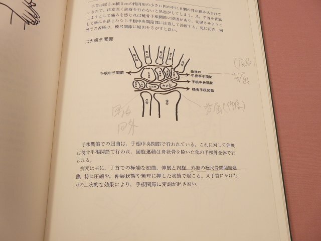 『 オステオパシー誇張法 教本 四肢編 脊椎編 頭蓋編 臨床編 第３版 』 齋藤巳乗 スカイイースト_画像4
