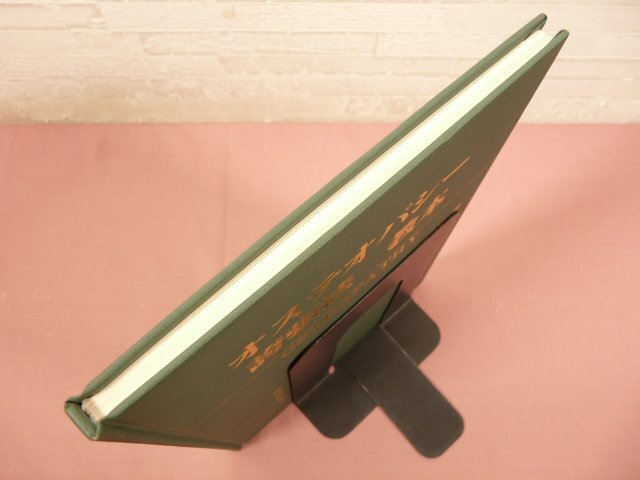 『 オステオパシー誇張法 教本 四肢編 脊椎編 頭蓋編 臨床編 第３版 』 齋藤巳乗 スカイイースト_画像5