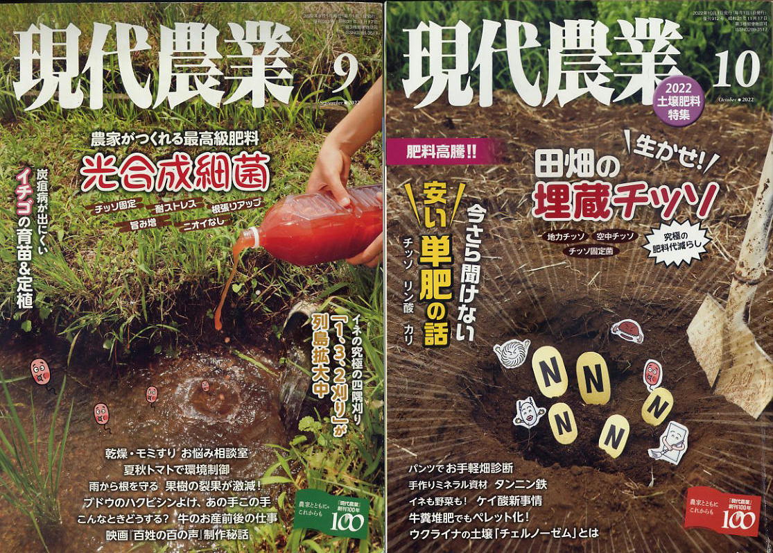 [ настоящее время сельское хозяйство ]2022 год *12 шт. комплект * стоимость доставки единый по всей стране :0 иен Okinawa * отдаленный остров отдельный плата . возникает.