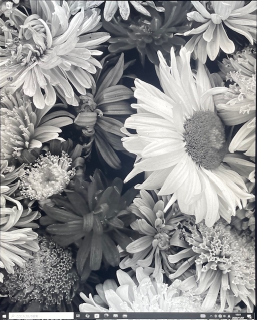 7766//EIZO RadiForce GX540 21.3インチ 液晶ディスプレイ 医療用モニター_画像2