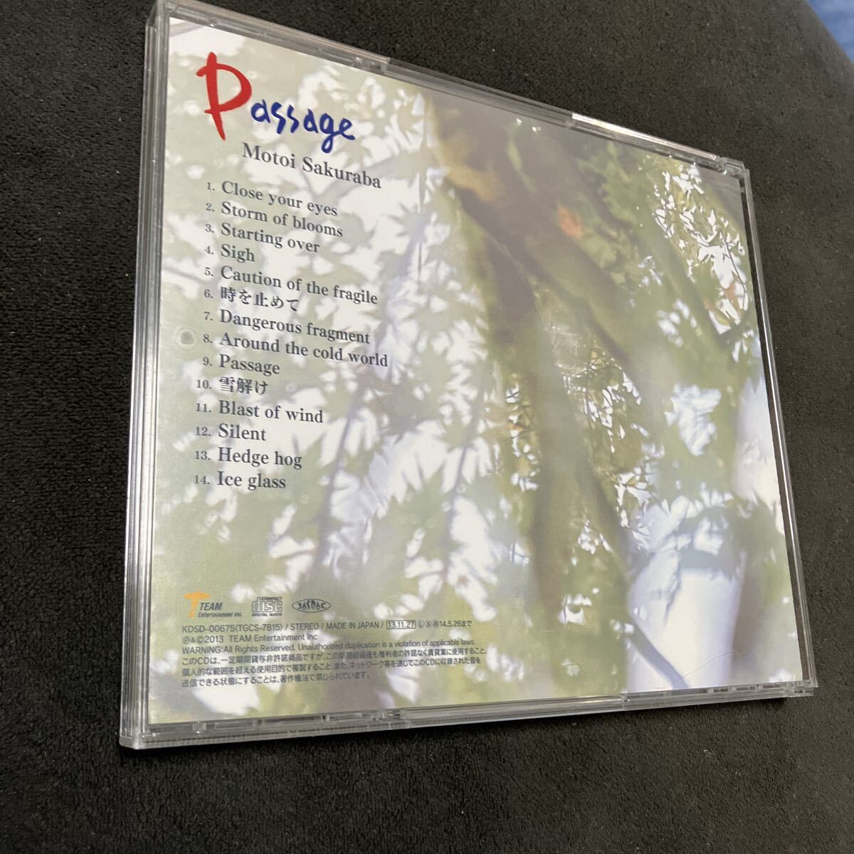 桜庭統　Passage 帯付き_画像2