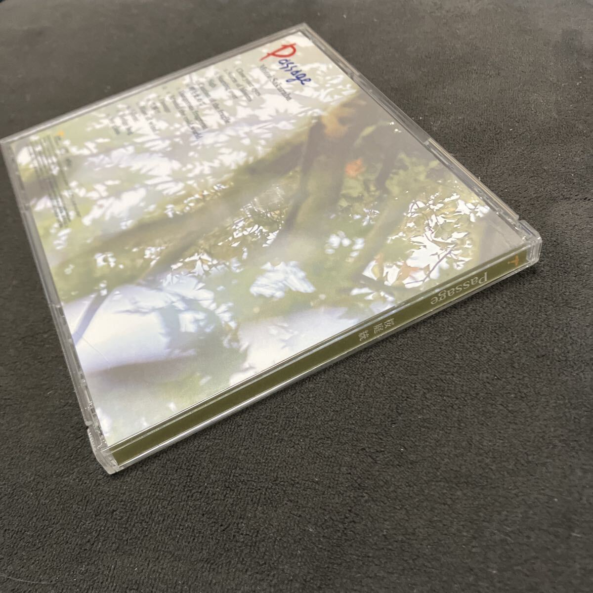 桜庭統　Passage 帯付き_画像6