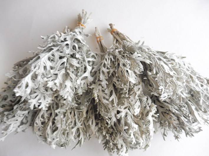 ^^^ север. цветок .^^^ белый ..30шт.@c-07