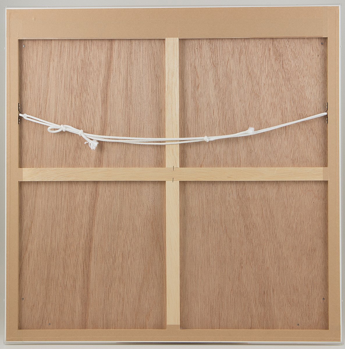 【1on1】真作 天野タケル 『Venus #37』 原画 アクリル キャンバス 20号 2021年 証明書付 アクリルBOX額／父:天野喜孝 現代アート 希少作品_画像9