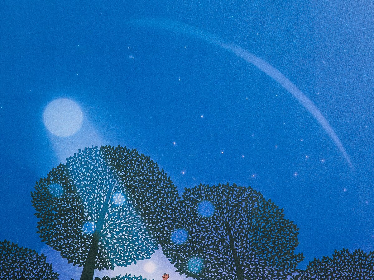 【1on1】真作 藤城清治 『月光のチェロ』 オリジナルリトグラフ 直筆サイン ed.250 額装 保証書付 / 日本における影絵作家第一人者_画像3