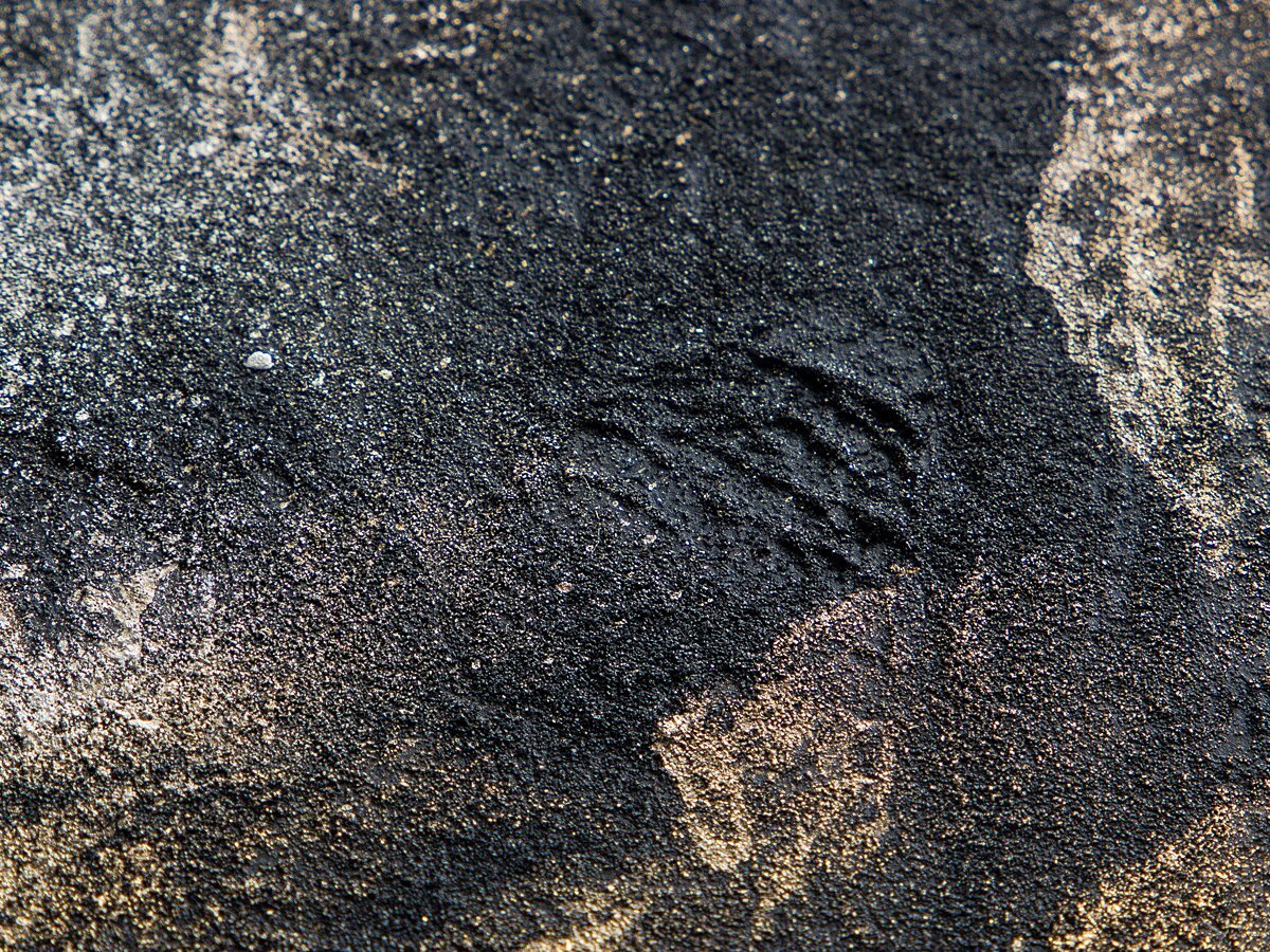 【1on1】真作 清水規 『月明』 日本画 彩色 4号 共シール 額装 大丸取扱 ／ 現代日本画壇巨匠 東京セントラル美術館日本画大賞展招待出品_画像7