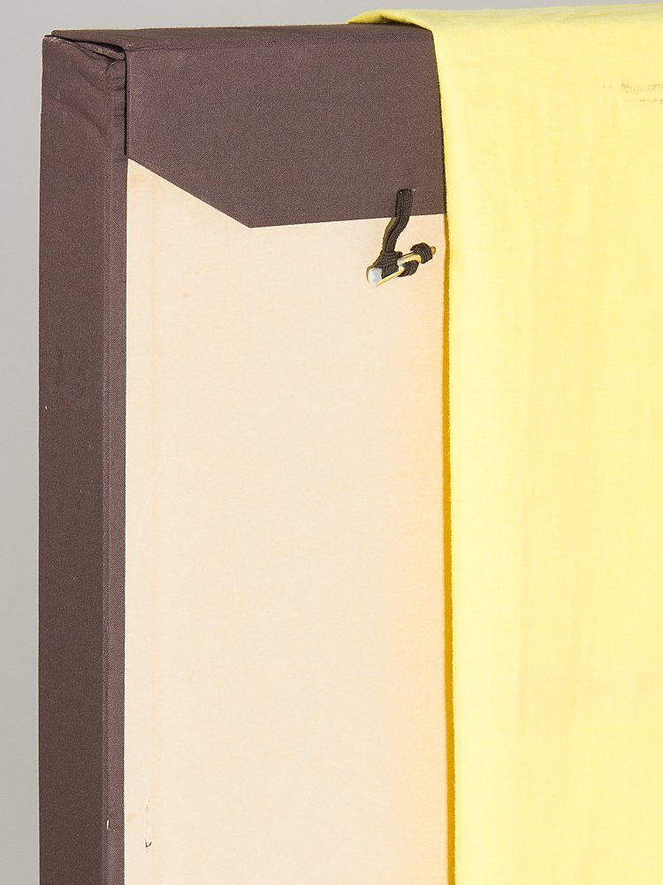 【1on1】真作 石踊紘一 『まどろむ女』 日本画 彩色 12号 共シール 額装 ／ 東京芸大卒 新制作協会展新作家賞 春季展賞 創画会春季展賞_画像10