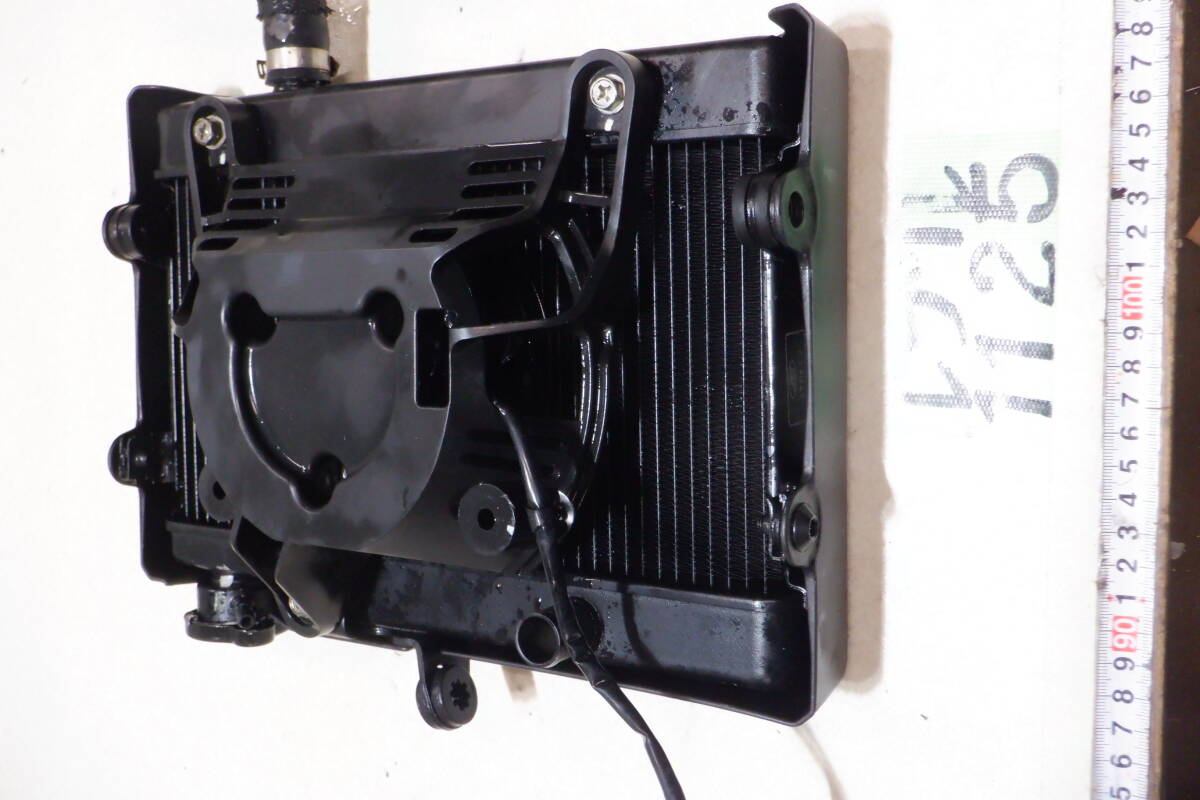 1125 レブル レブル250 MC49 ラジエター 梱包100サイズ_画像9