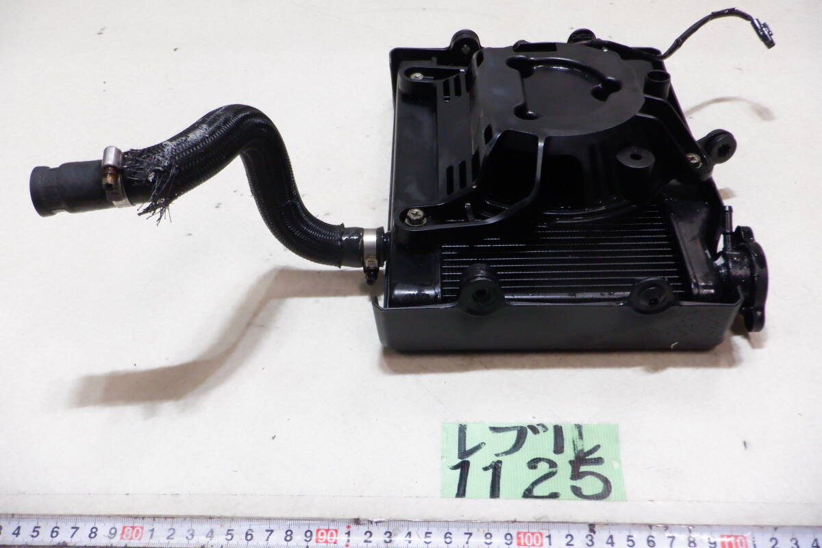 1125 レブル レブル250 MC49 ラジエター 梱包100サイズ_画像7