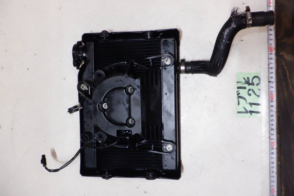 1125 レブル レブル250 MC49 ラジエター 梱包100サイズ_画像6