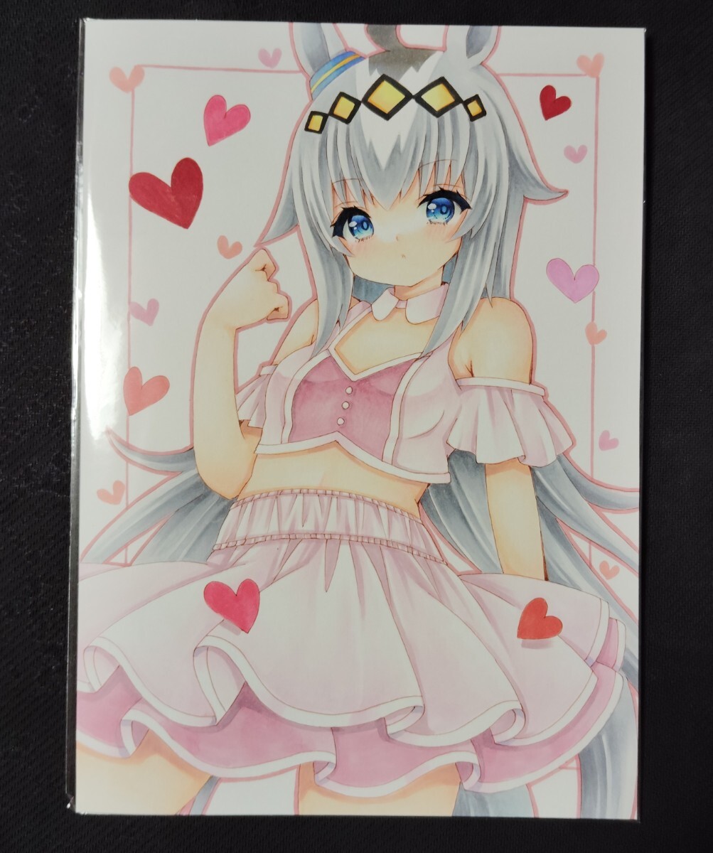 o Gris колпак * лошадь .pli чай Dubey *B5 размер * ручные иллюстрации 