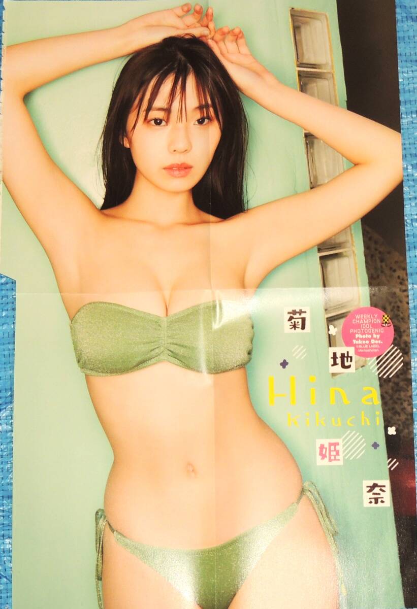 菊池姫奈 90ページ 両面付録ポスター 1枚_画像5