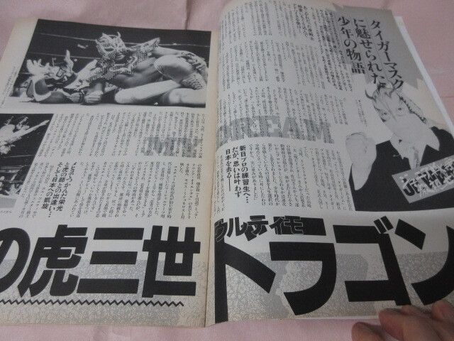 「プロレス王国」1993 No.6 金本 藤波 ライガー 佐山 ウルティモ マジックドラゴン 大仁田 KKベストセラーズ_画像5