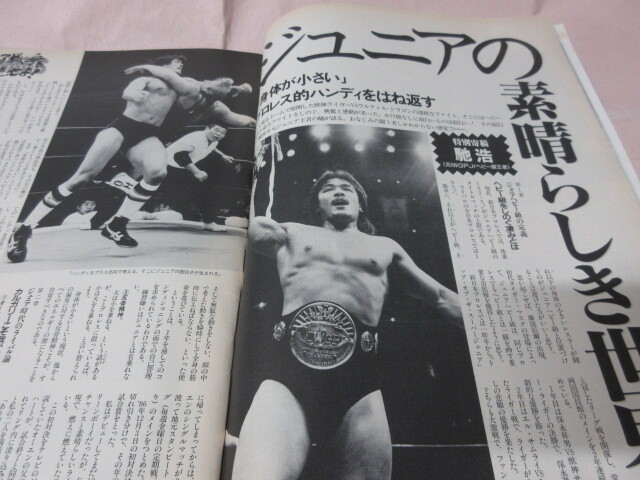 「プロレス王国」1993 No.6 金本 藤波 ライガー 佐山 ウルティモ マジックドラゴン 大仁田 KKベストセラーズ_画像6