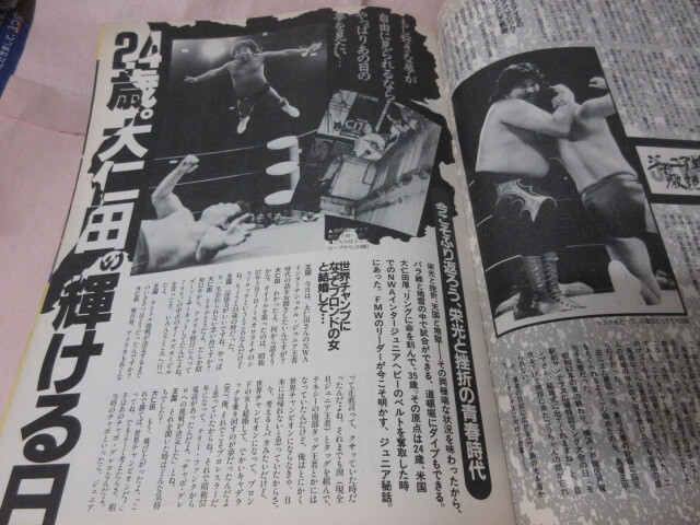 「プロレス王国」1993 No.6 金本 藤波 ライガー 佐山 ウルティモ マジックドラゴン 大仁田 KKベストセラーズ_画像7