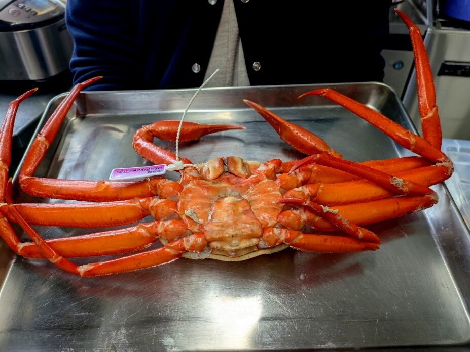 ★お家でご馳走・早い復興を願って！厳選・タグ付き紅ずわい蟹1杯。紅ずわい蟹でタグ付きは見かけませんよ！ほとんどが有名料亭行き！_画像2