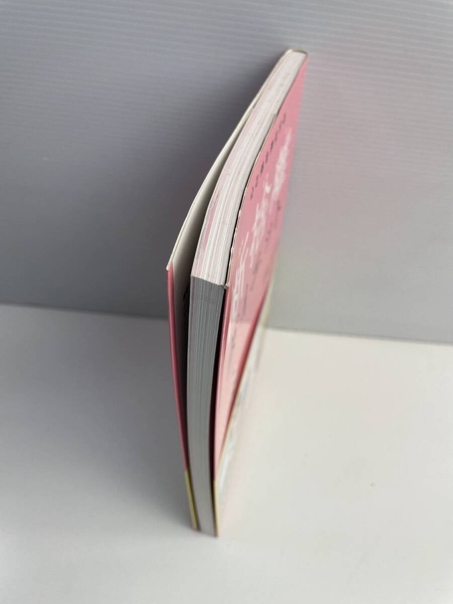 心と体を浄化する 断捨離ダイエット 平成23年 初版 2011年発行 平成23年【K193044】251119_画像2