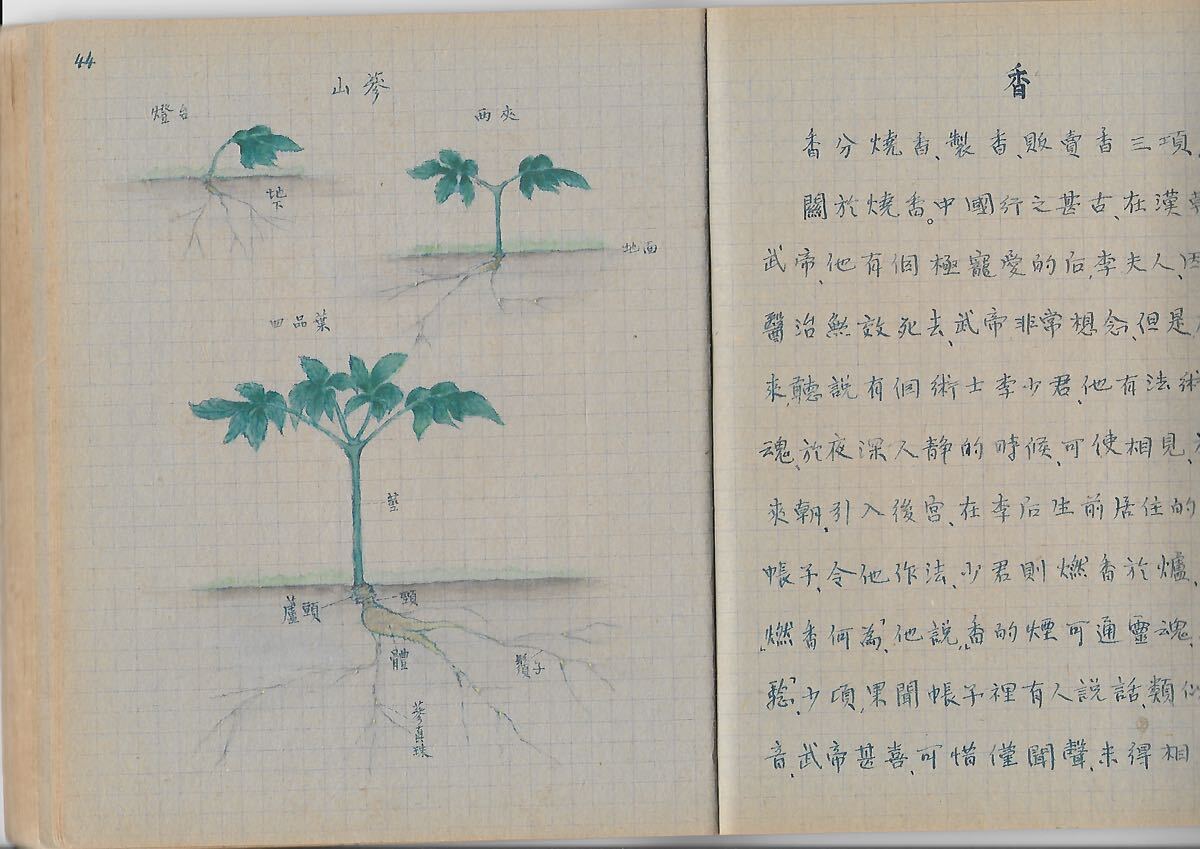 愛新覚羅溥儀のノート 絵葉書 中国_画像7