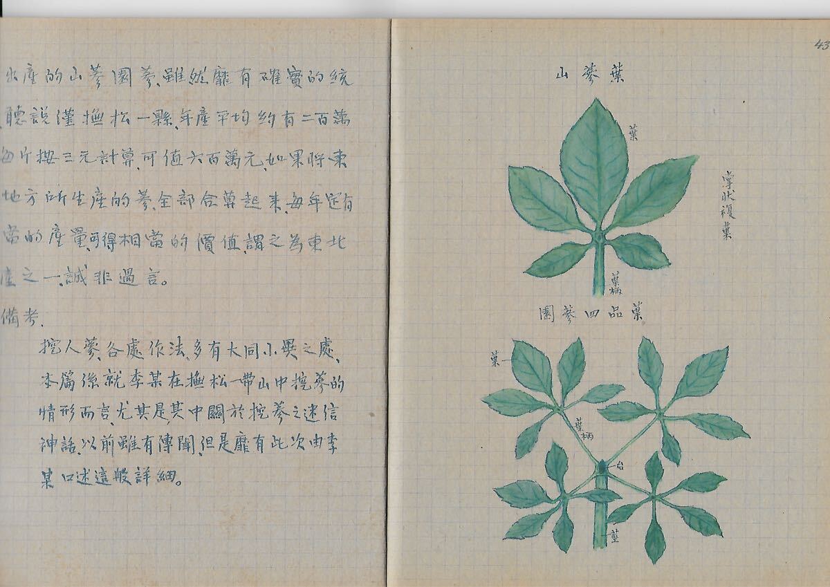 愛新覚羅溥儀のノート 絵葉書 中国_画像8