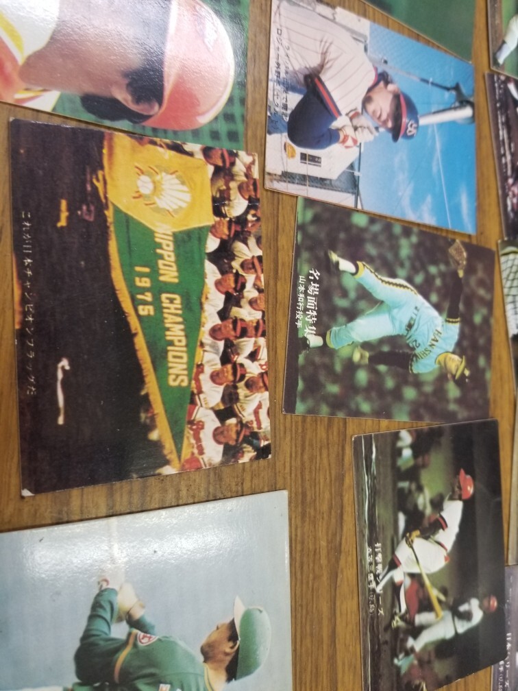  примерно 50 год передний. Calbee Professional Baseball карта 70 листов. альбом 2