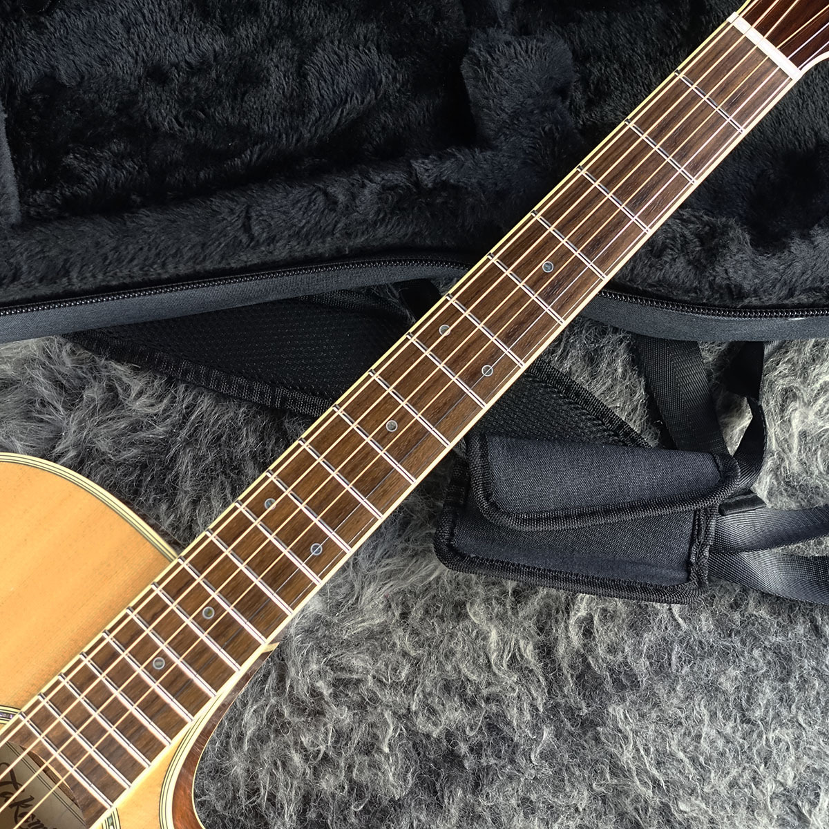 Takamine TSP-138C N