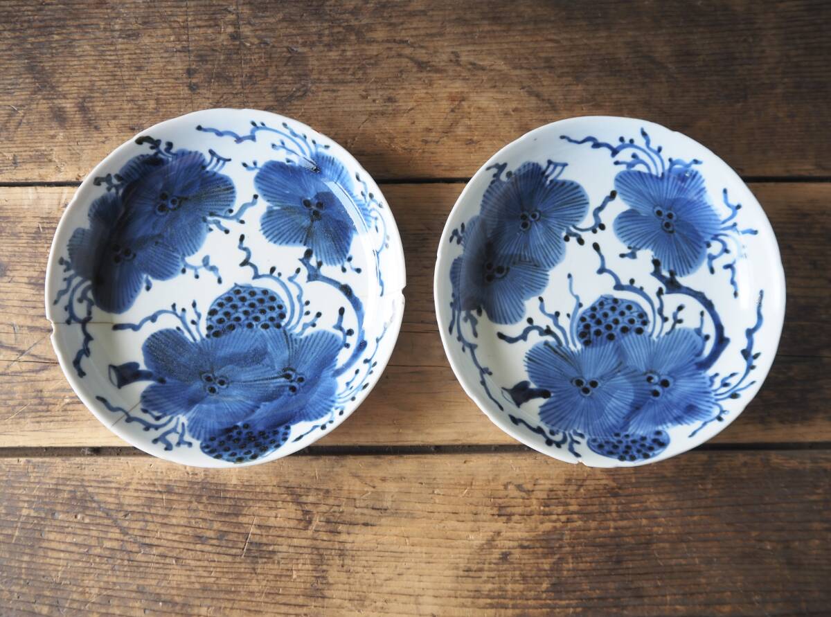 【OAN】 古伊万里 染付 6寸 皿 2枚セット 骨董 古美術 古道具 民藝 古民藝 茶道具 懐石 古玩 初期 藍九谷 藍柿 藍鍋 平皿 参考品 S25810_画像1