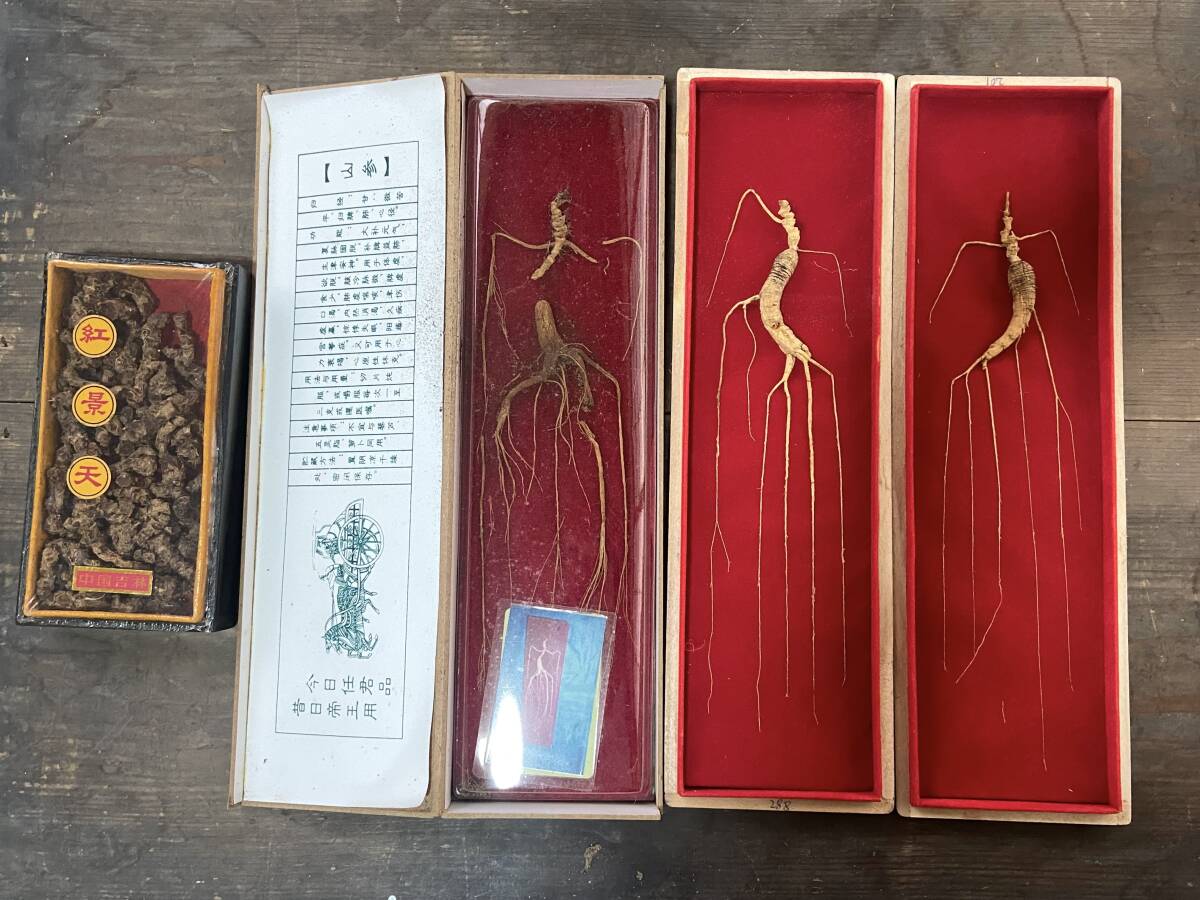 【OAN】高麗人参 紅景天 合計4つセット 長期保管品 骨董 古美術 古道具 民藝 古民藝 茶道具 懐石 古玩 参考品_画像2