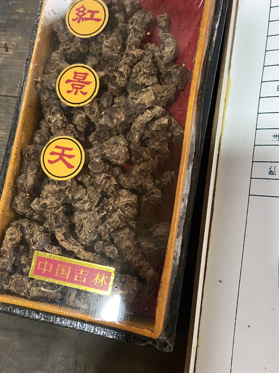 【OAN】高麗人参 紅景天 合計4つセット 長期保管品 骨董 古美術 古道具 民藝 古民藝 茶道具 懐石 古玩 参考品_画像7
