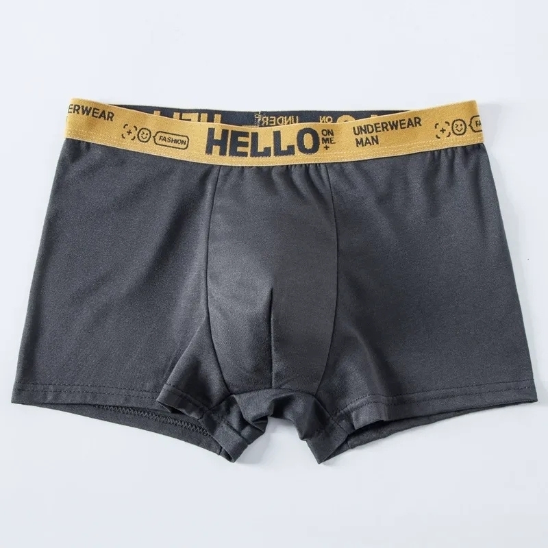 ボクサーパンツ メンズ ロゴ 無地 下着 アンダーウェア 通気性 パンツ 5枚セット L インナー おしゃれ かっこいい プレゼント ローライズ_画像4