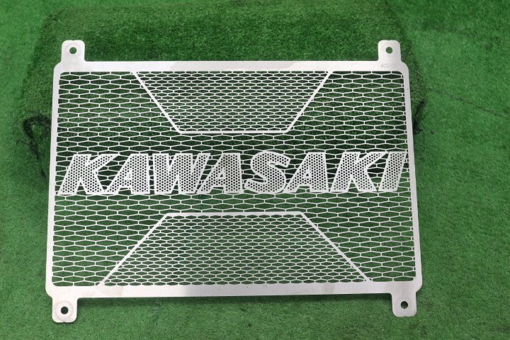 48996/O*Z900RS.(ZR900C/ZR900K)2021- радиатор core защита 4